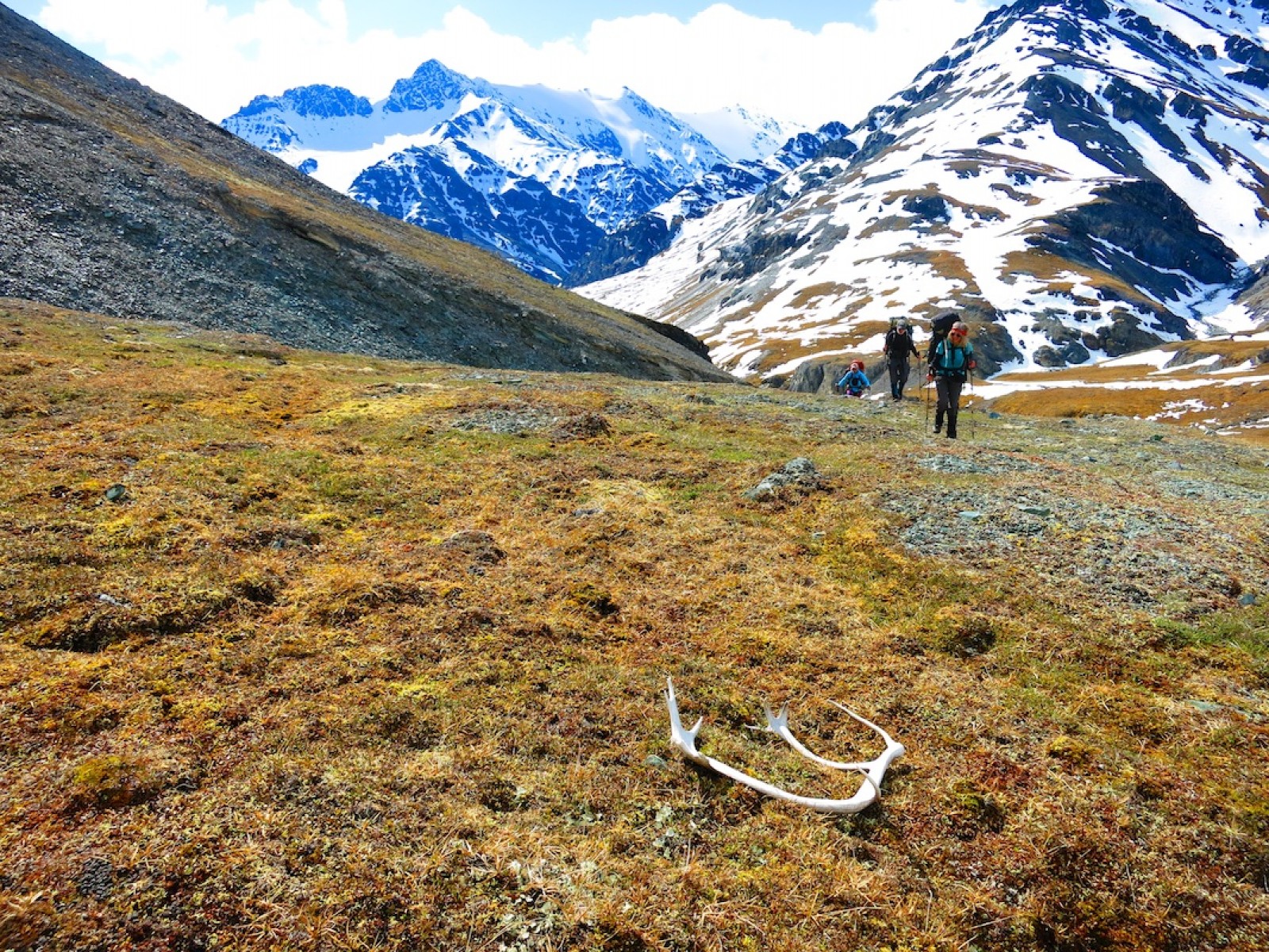 Arctic National Wildlife Refuge