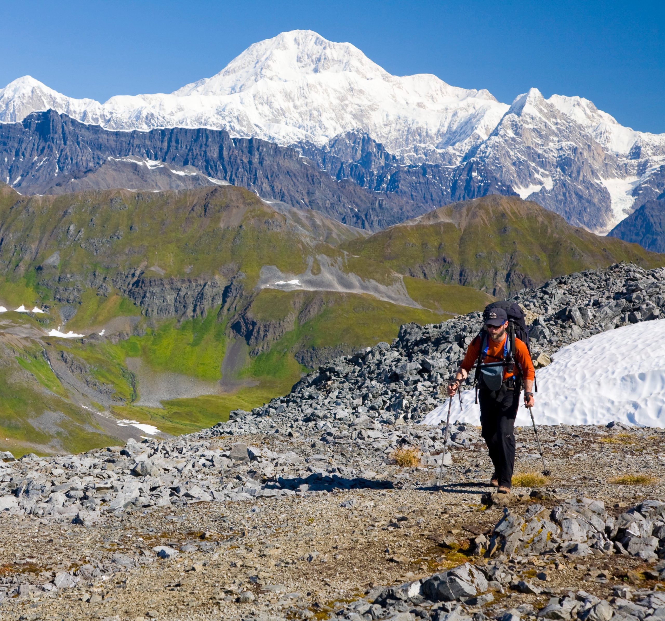 Denali walking cheap tour