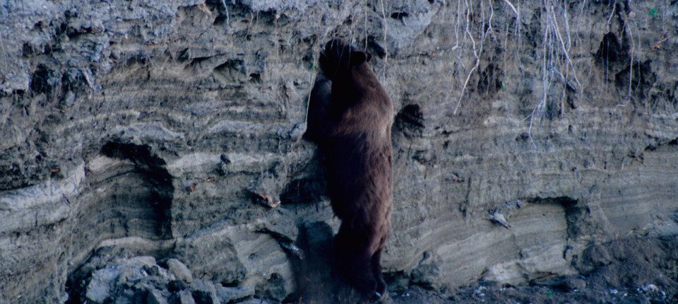 Alaska Photo Of The Month – October 2007