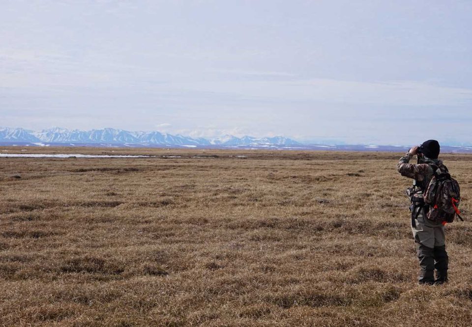 Science On The Arctic National Wildlife Refuge Coastal Plain