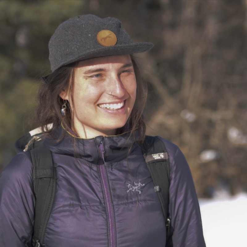 Alaska Guide