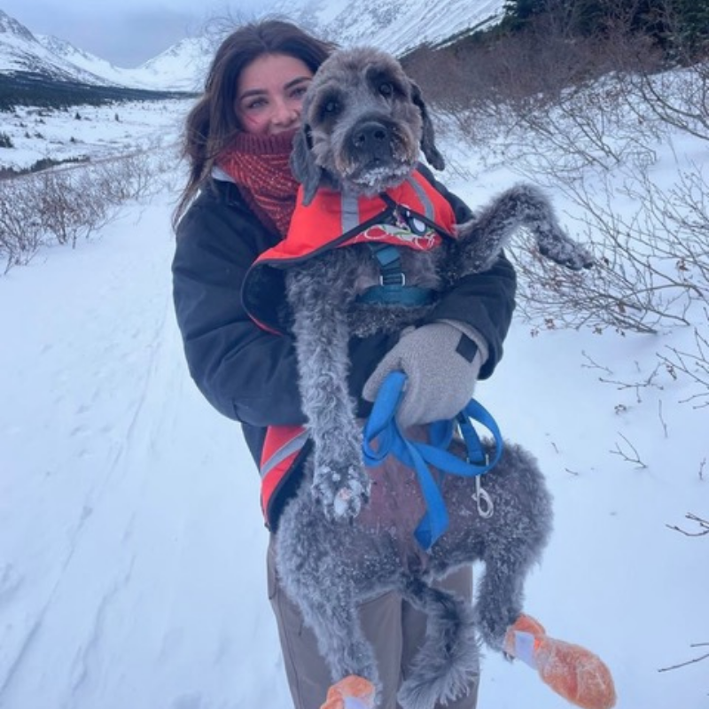 Alaska Guide