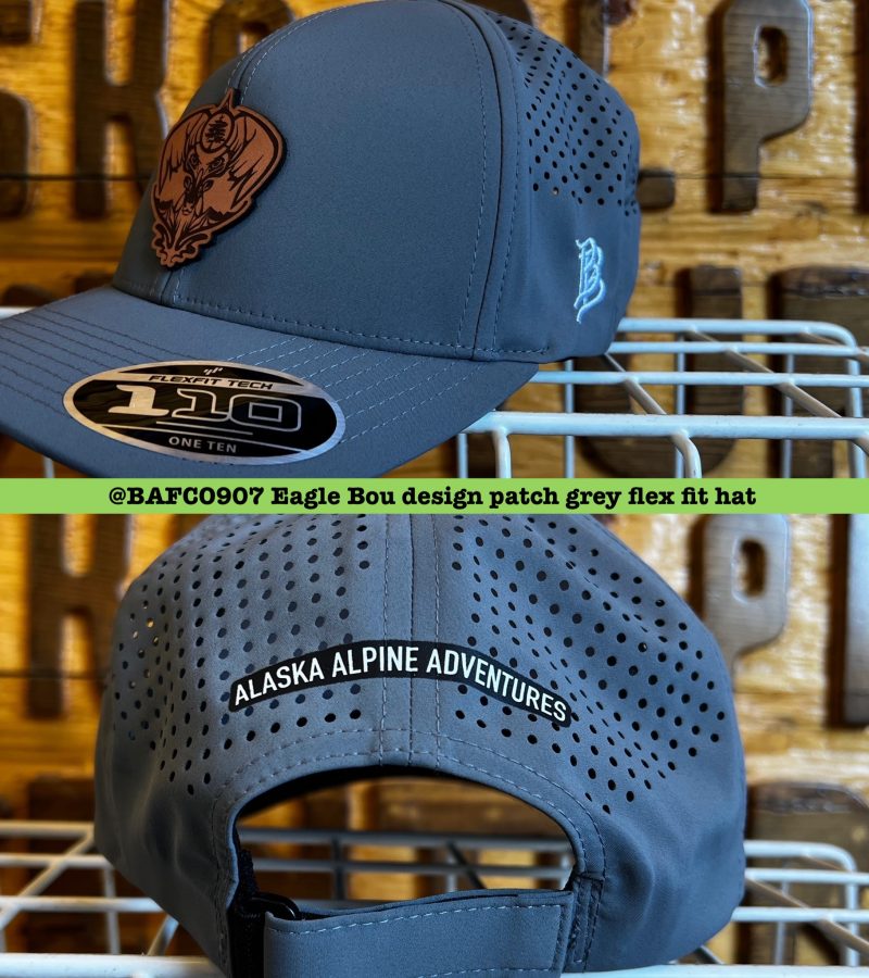 Billed Flex Fit Hat – BAFCO